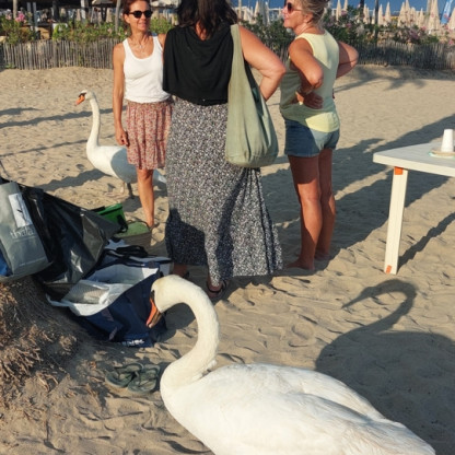 sorties fin de saison 2025/2026